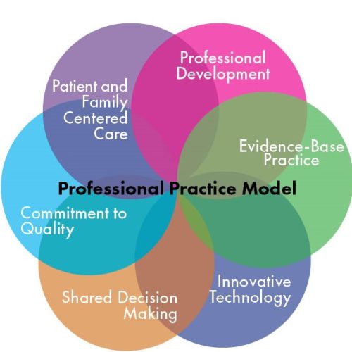 NCH practice council model