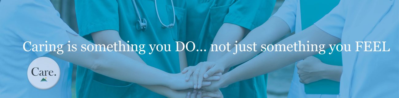 north country hospital nurse practice council