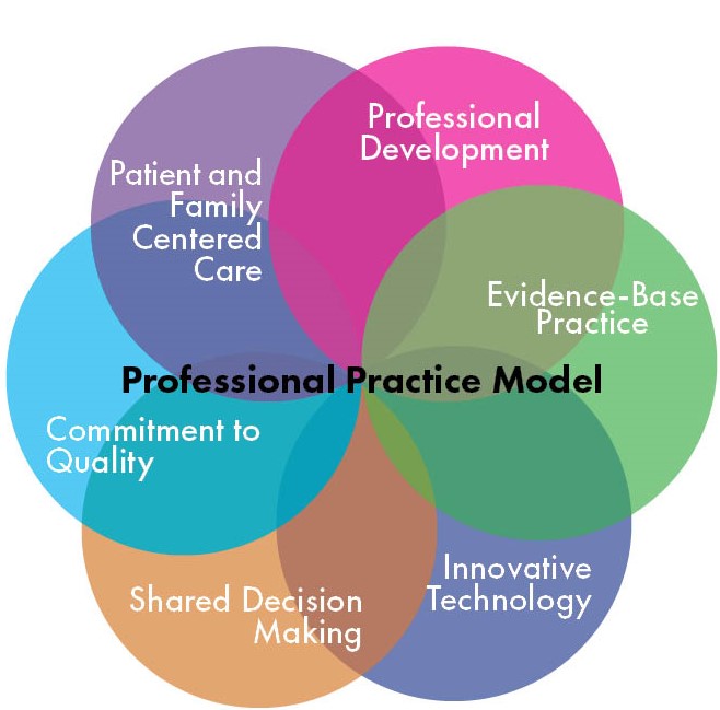 NCH practice council model